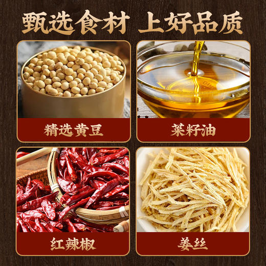 风味豆豉500g湖南新化冷江特产香辣腊八豆调味料下饭菜拌面豆瓣酱 商品图2