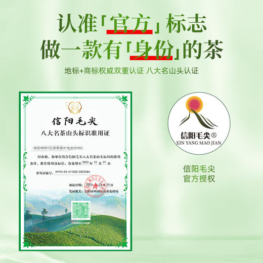【2026年新茶预售】茶马世家丨信阳毛尖 河南名优绿茶 特级 春色满园 礼盒装 200g，新茶预计4月10日发货 商品图6