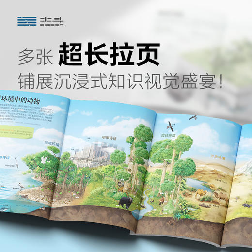 《课本里的图解百科》8册  | 紧扣课本，跨学科联动，1000+知识创意图解 商品图8