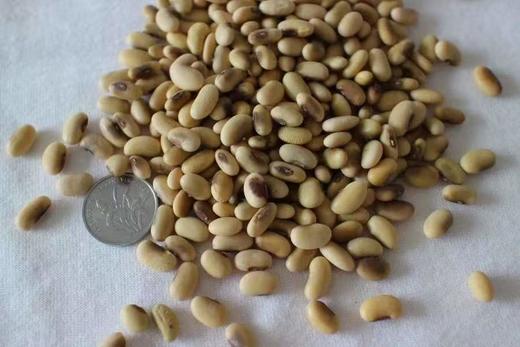 老黄豆·老品种杂粮(自留种)·一墩青张志雷家庭农场 商品图0