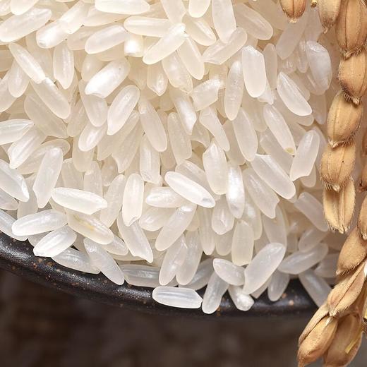 天仁道有机五常大米1kg特等 商品图3