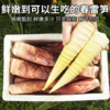临安春笋 新鲜现挖 脆嫩多汁  顺丰包邮冰袋锁鲜 商品缩略图4