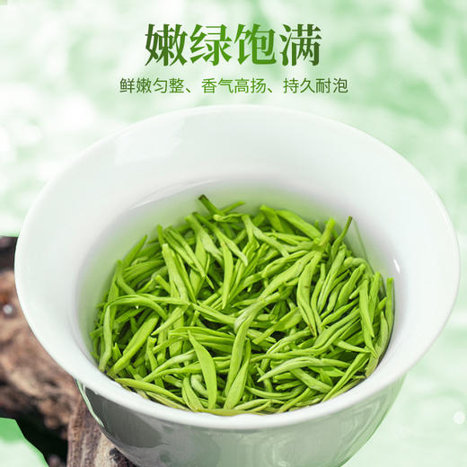 【2026年新茶预售】茶马世家丨信阳毛尖 河南名优绿茶 特级 春色满园 礼盒装 200g，新茶预计4月10日发货 商品图3