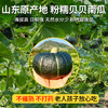 在菌屋 山东老品种贝贝南瓜5斤装 口感粉面 甜糯栗香 商品缩略图1