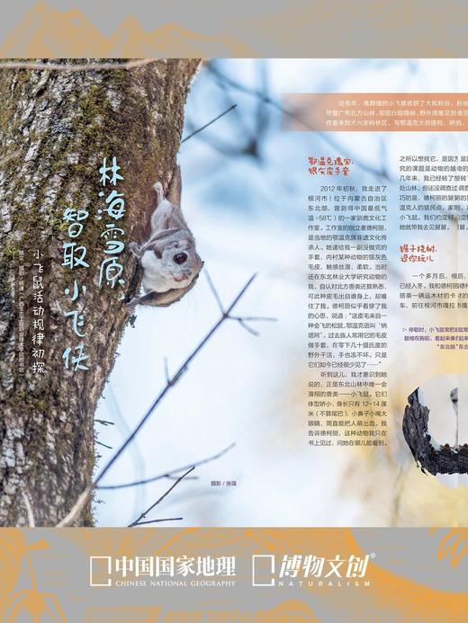 博物杂志 2026年4月刊 鼯鼠
封面故事 翼装飞行鼻祖 商品图4