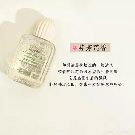 芝芙莲内衣洗衣液100ml便携装 商品图0
