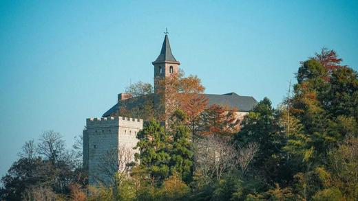 【五一/暑期】少数人才能体验到～江南亲子限定版！包船游西湖秘境，当西溪渔夫，大咖精讲南宋官窑，观摩杭州6小龙、浙大求是讲堂，体验莫干山乡村美学，宋代点茶，5钻酒店…暑期前60位立减600元 商品图8