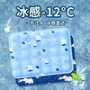 【夏日常备❗️新升级软冰冰垫】清凉降温，快速清凉，凉而不冰超舒服！夏季坐垫凉垫汽车水垫降温宠物冰凉垫子免注水凝胶学生水床垫 商品缩略图0