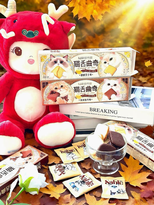 4盒【Sable莎布蕾猫舌曲奇夹心饼干】 商品图4