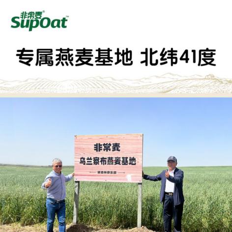 【非常麦有机燕麦奶 】 商品图2