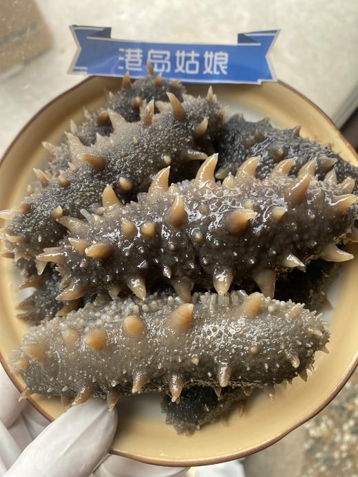 家庭滋补养生首选！！即食海参 商品图3