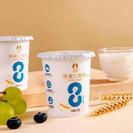 滋芙蓝白燕麦仁酸奶138g*12杯 京东冷链运输 商品图0