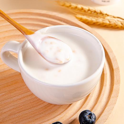 滋芙蓝白燕麦仁酸奶138g*12杯 京东冷链运输 商品图1