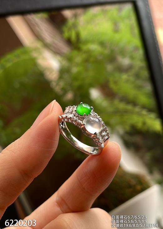 6220203，蛋面戒指。具体价格微信咨询 商品图1