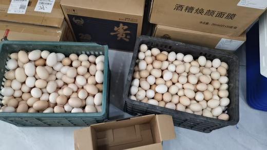 草鸡蛋一盒（50枚） 商品图3