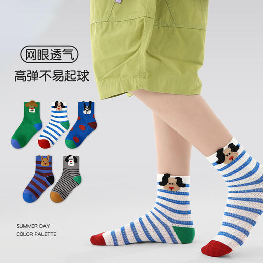 【19.9元5双】儿童春夏薄款袜子 A类棉质透气网眼童袜 商品图2