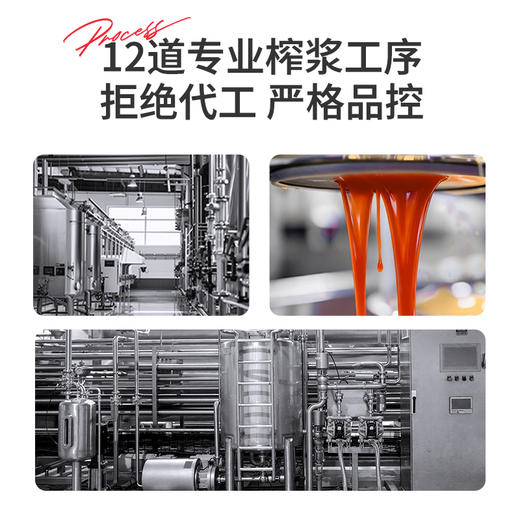 尝萃1.8L（60袋）量贩装红黑枸杞原浆组合红黑原浆每日浆浆青海格尔木黑枸杞头茬枸杞 商品图8