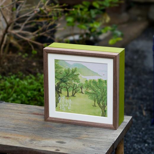 30元一套 / 一箱12套 春天礼物 【双罐 草绿色】 商品图10