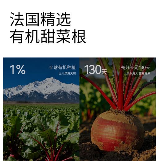 Hyllers甜菜根粉女性天然浓缩气血营养品补铁剂食品红润美丽容颜 商品图1