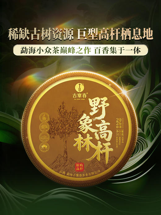 3月26日中午12点【野象林高杆】2026年勐海野象林稀缺古树资源 巨型高杆的栖息地 勐海国有林里的秘境 身处中老缅交界线处 数量稀少 357g/饼 商品图8