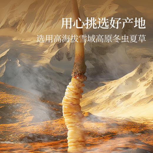 【正宗同仁堂品牌】北京同仁堂 青源堂 冻干冬虫夏草（人工抚育）--50/10克  SY 商品图5