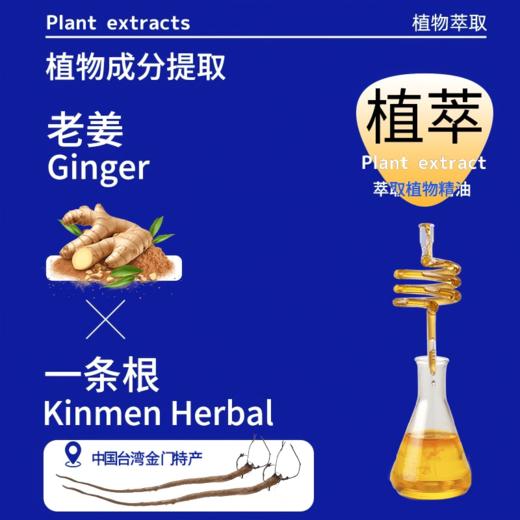 金门一条根老姜纾缓贴 商品图1