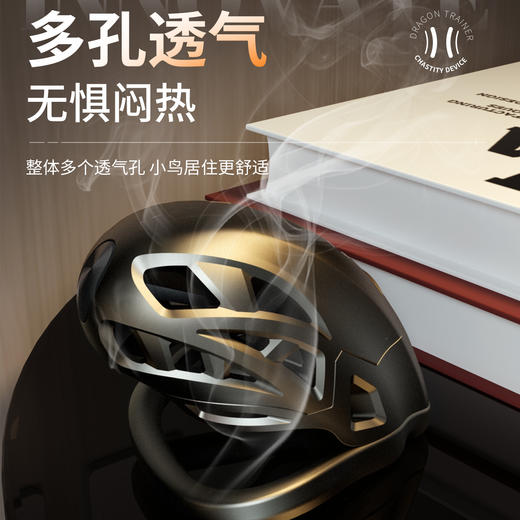 【情趣用品】谜姬 驯龙高手 贞操锁SM【控价产品，先联系负责人沟通，再申请白名单】 商品图6