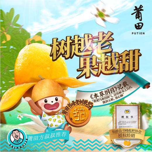 莆田好食材 |  莆田书峰老树早钟枇杷，限量供应，包邮到家！ 商品图0