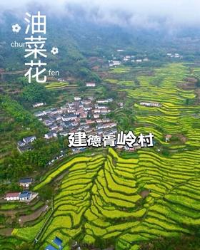  春分·龙抬头：建德抱朴苑正式揭牌，感恩家园共建者