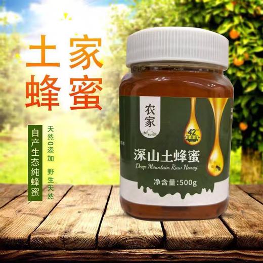 升级土家蜂蜜  更好的蜜源  农家自产生态蜜 500g/瓶 商品图0