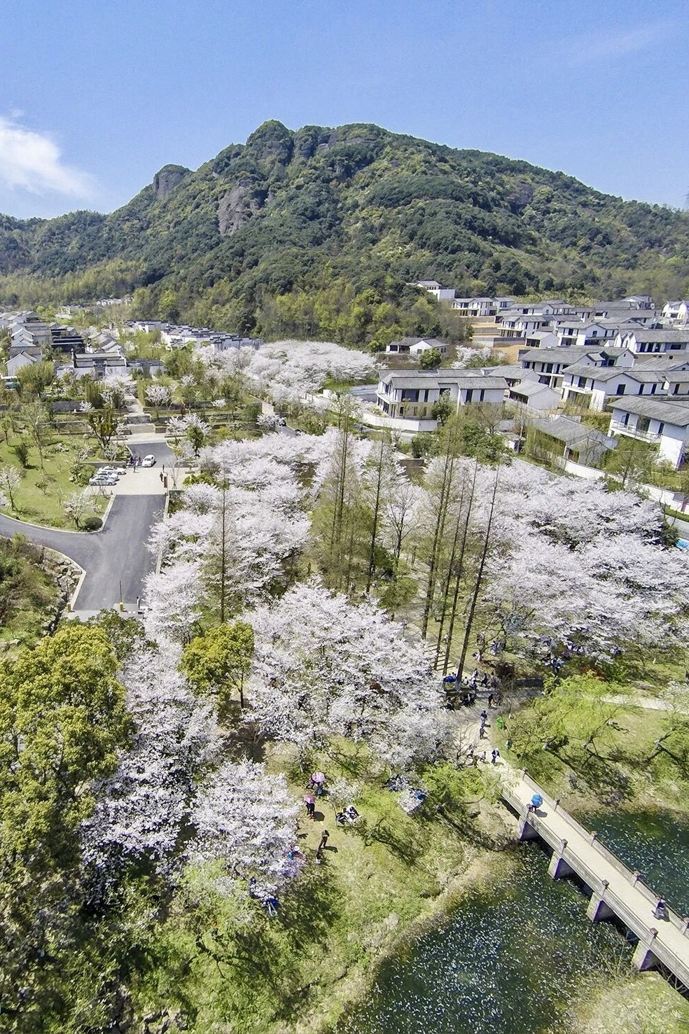 🌸 绍兴兰亭璞燊酒店×春樱有信