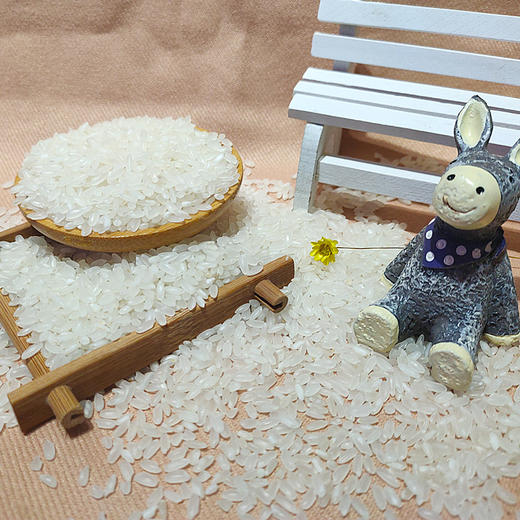 【哈北小镇】有机大米5kg(1kg*5盒) 商品图1