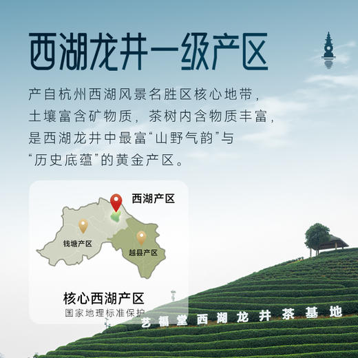 【新茶上市】艺福堂明前特级西湖龙井50g/罐瓷罐2026年新茶 商品图1