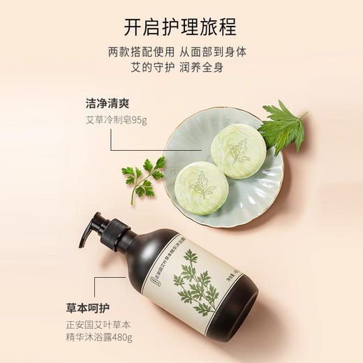 正安 艾草沐浴露 艾叶油迷迭香积雪草等草本提取 清爽扶正艾草精华沐浴液  480ml/瓶 商品图7