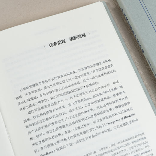印度教在犍陀罗的兴起 商品图5