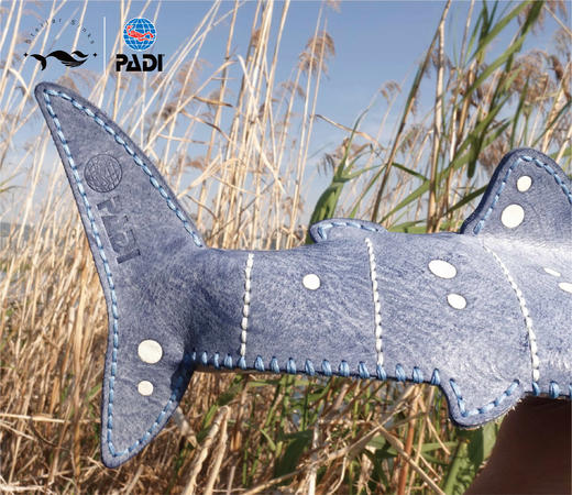 PADI Gear - PADI ✖ Stellar Sinks 手工皮质斜挎包 商品图10