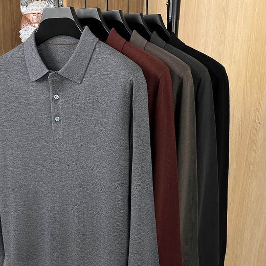 安东尼奥A&N 【绵羊毛&桑蚕丝】秋季薄款翻领休闲男士POLO针织衫7165398 商品图4