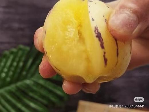 周二取货:【火山蜜人参果】一盒6个，生吃清脆，熟吃香甜！清甜多汁！ 商品图0