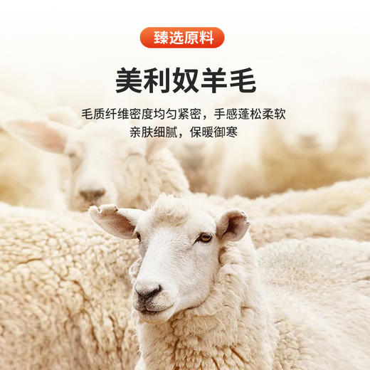 安东尼奥A&N 【绵羊毛&桑蚕丝】秋季薄款翻领休闲男士POLO针织衫7165398 商品图5
