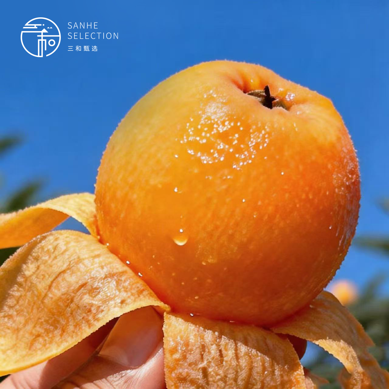 产地直发 | 【枝悦】米易枇杷 四川攀枝花 枇杷 当季水果 产地直发 新鲜水果 枇杷