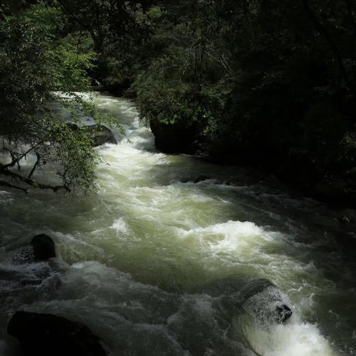 云南｜尼汝徒步3日/4日可选，南宝牧场/色列湖/七彩瀑布/丁汝湖/南波湖，五一端午行程提前预定！ 商品图9