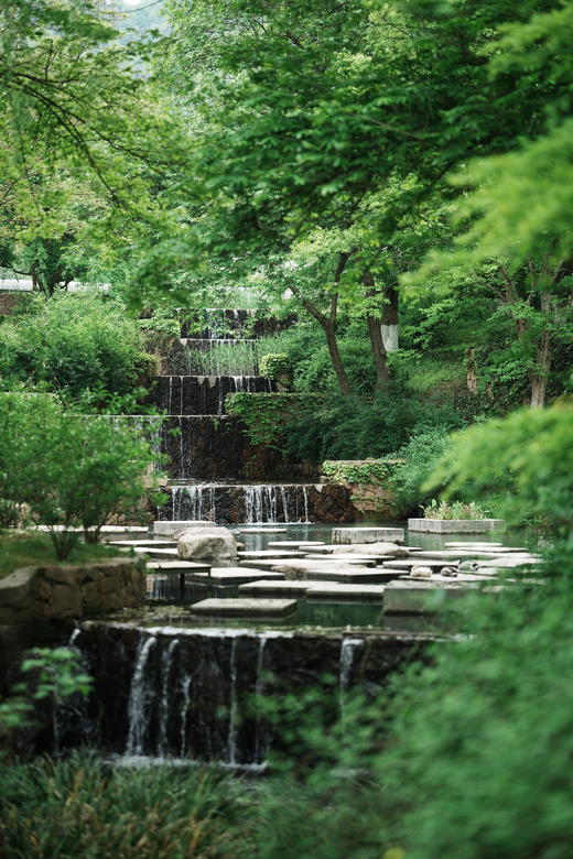 🌸 绍兴兰亭璞燊酒店×春樱有信 商品图4