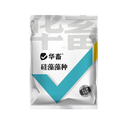 华畜硅藻藻种水产养殖小球藻绿藻鱼虾蟹水产复合藻种调水肥水培藻 商品图7