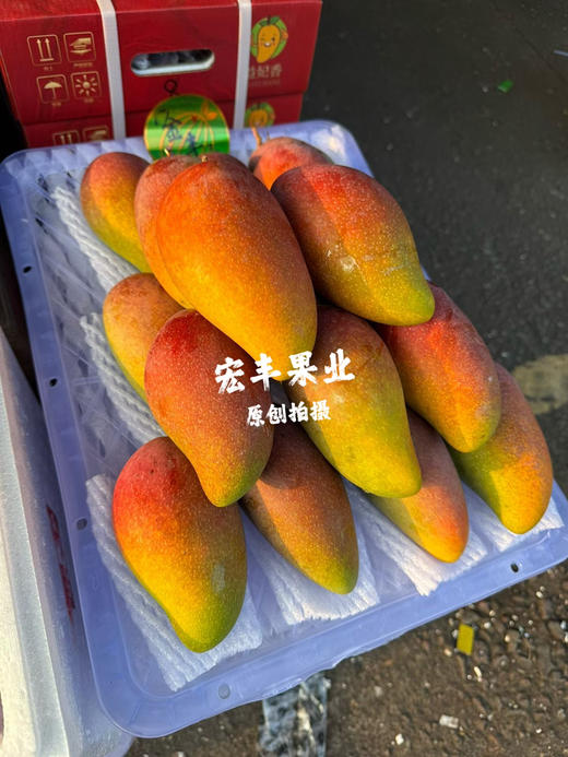 宏丰精选 贵妃芒 新鲜到货，香味浓郁，活动价19.8一斤 商品图1