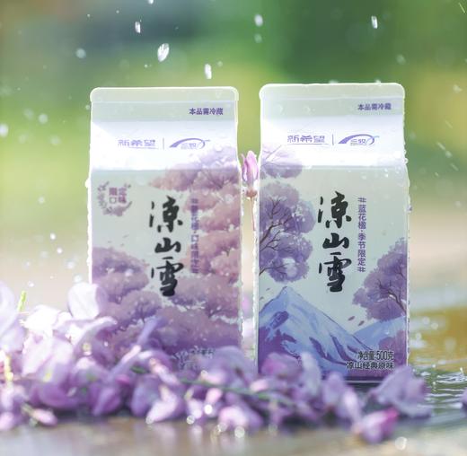 蓝花楹●季节限定 凉山雪蓝花楹500ml*6瓶组合装整箱整件 商品图3