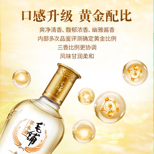 【标准版】500ml毛铺草本酒·金荞（多规格） 商品图5