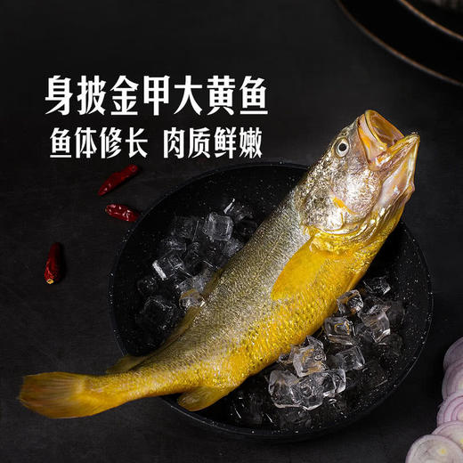 MM 山姆 深海大黄鱼4条装 商品图2