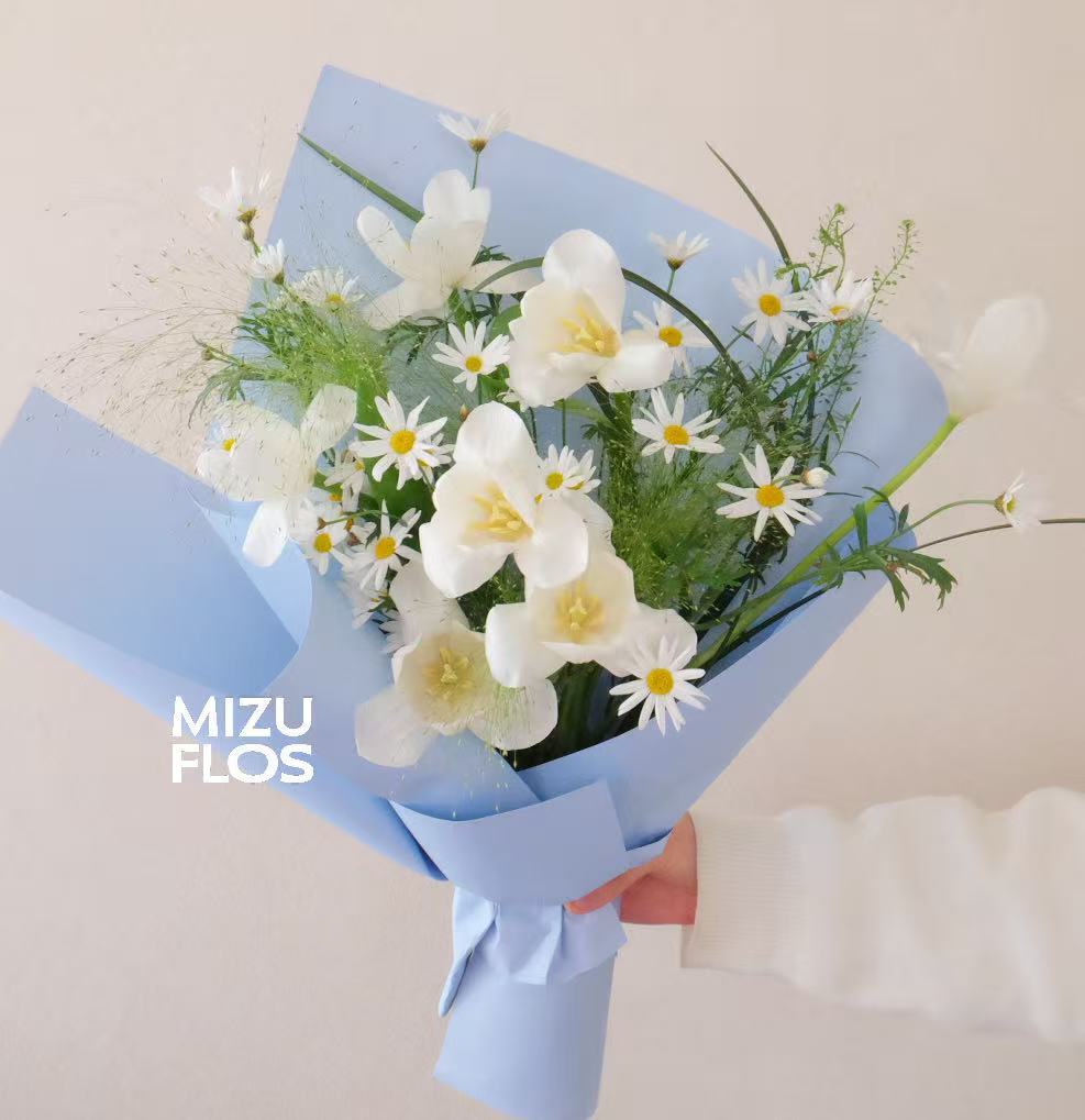 / 忆 莳 光 /（今日现花）