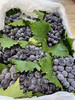 宏丰精选 蓝莓葡萄 入口蓝莓味 甜葡萄   零售19.8一斤 商品缩略图3