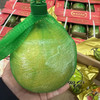 越南翡翠金柚 小蜜蜂品牌 29.8/2个 约1.5斤一个 商品缩略图2